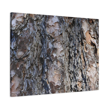 Bark's Rugged Symphony - Unique Frameless Canvas Wall Art - Art By Earth