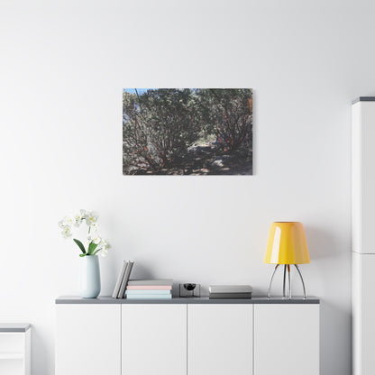 Desert Blooms - Unique Frameless Canvas Wall Art