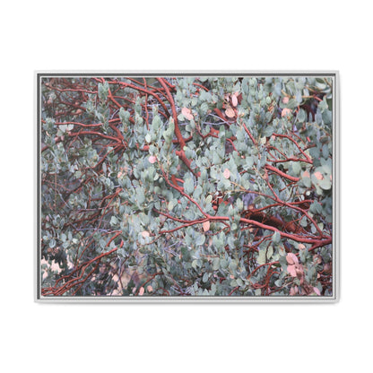 Whispers of Sage - Unique Stretched Canvas Wall Art - Art By Earth