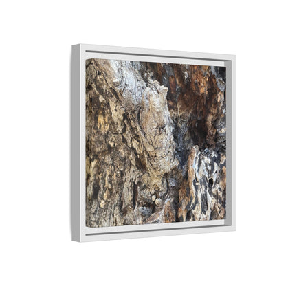 Ancient Tree Texture - Unique Stretched Canvas Wall Art - Art By Earth