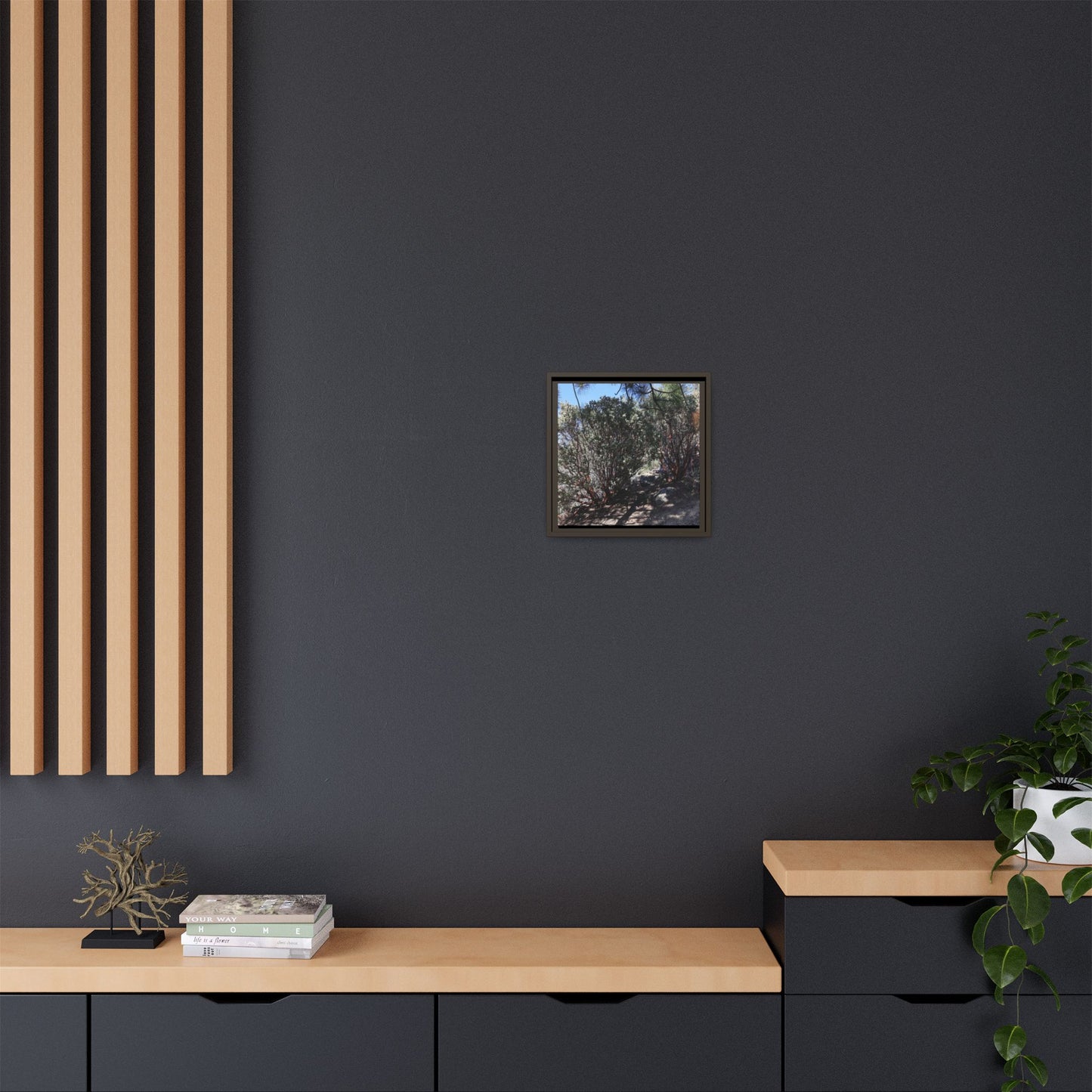 Desert Trail Through Blooming Manzanita - Unique Stretched Canvas Wall Art