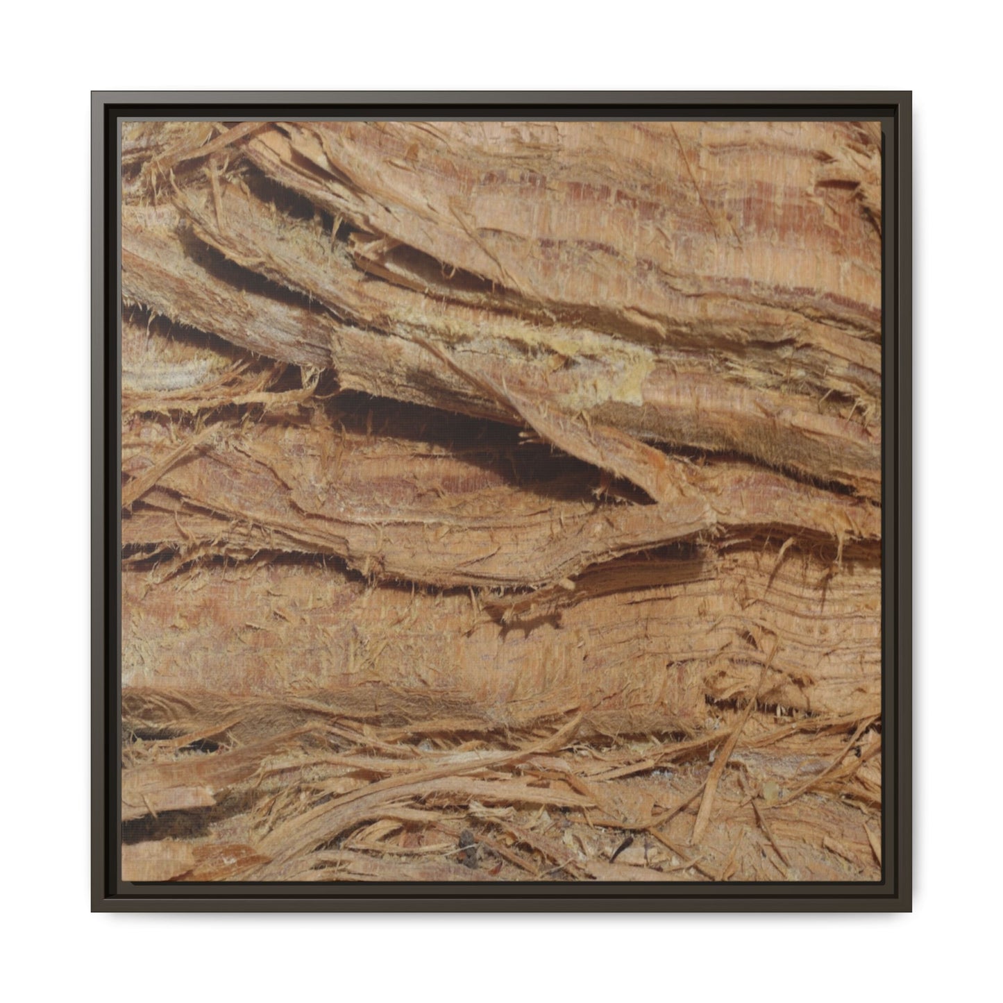 Splintered Bark - Unique Stretched Canvas Wall Art - Art By Earth