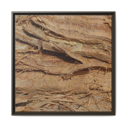 Splintered Bark - Unique Stretched Canvas Wall Art - Art By Earth