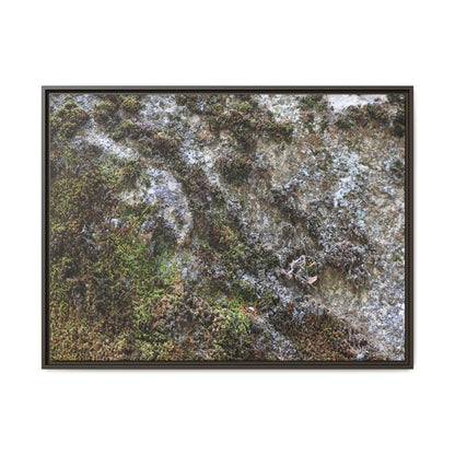 Mossy Whispers - Unique Stretched Canvas Wall Art - Art By Earth
