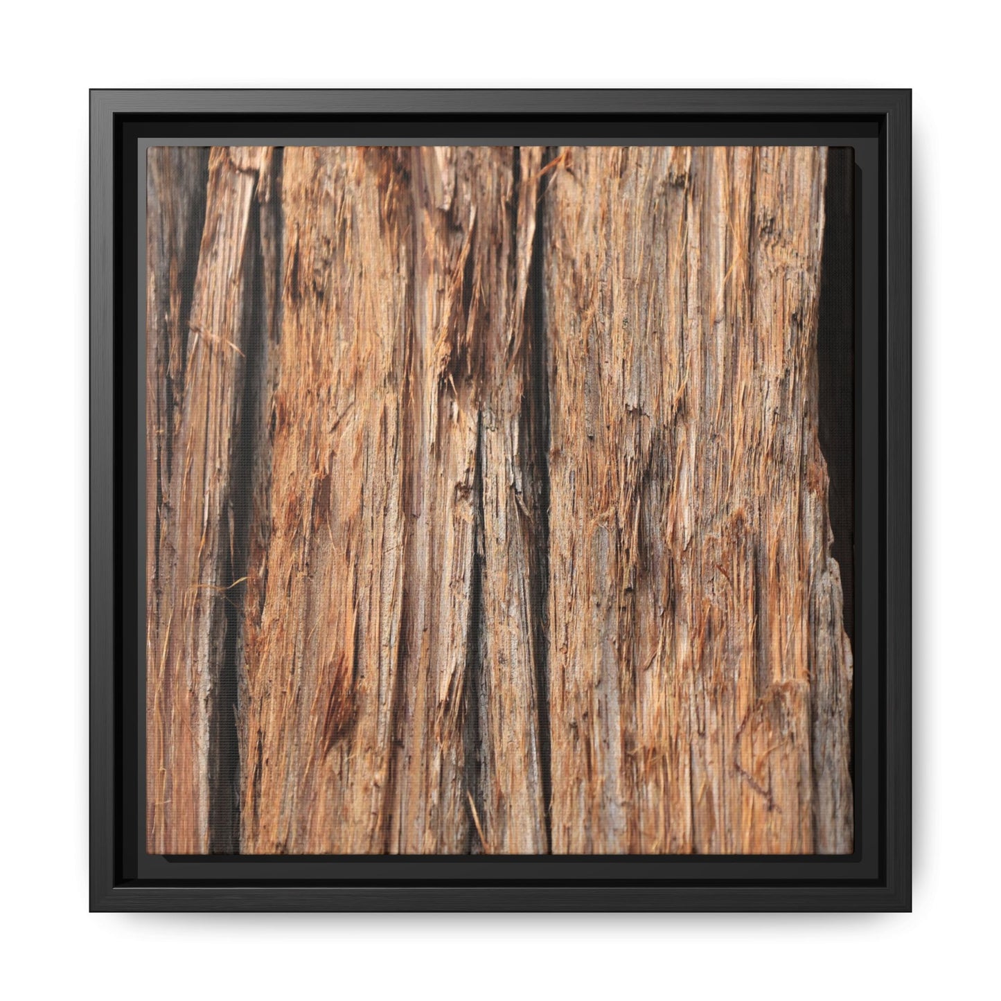 Timber Echoes - Unique Stretched Canvas Wall Art - Art By Earth