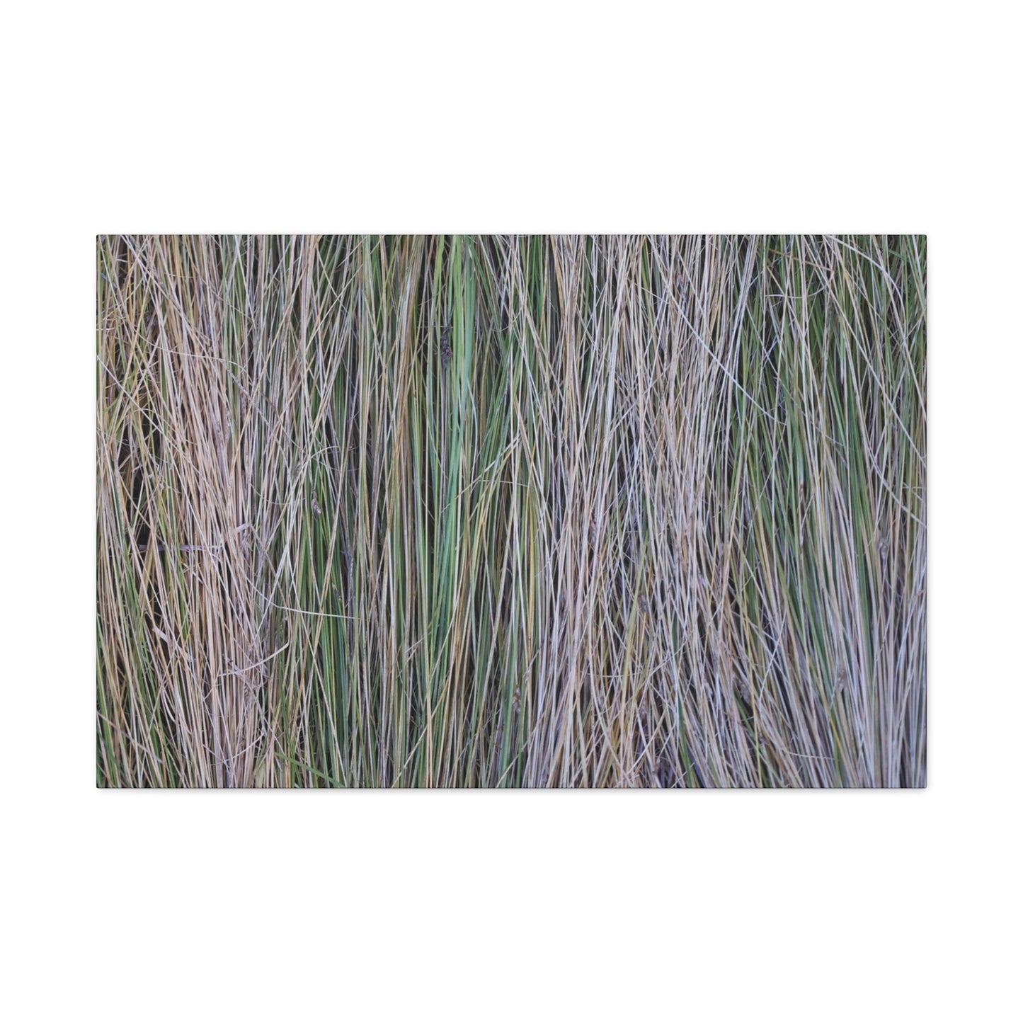 Whispers of Grass - Unique Frameless Canvas Wall Art - Art By Earth