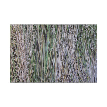 Whispers of Grass - Unique Frameless Canvas Wall Art - Art By Earth