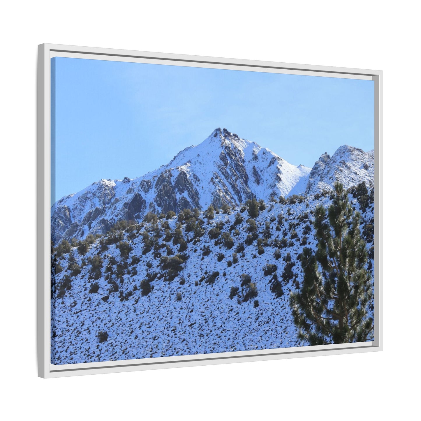 Snow's Embrace - Unique Stretched Canvas Wall Art