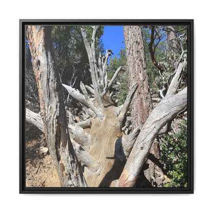 Forest Sentinels - Unique Stretched Canvas Wall Art