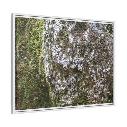 Lichen Landscape - Unique Stretched Canvas Wall Art - Art By Earth