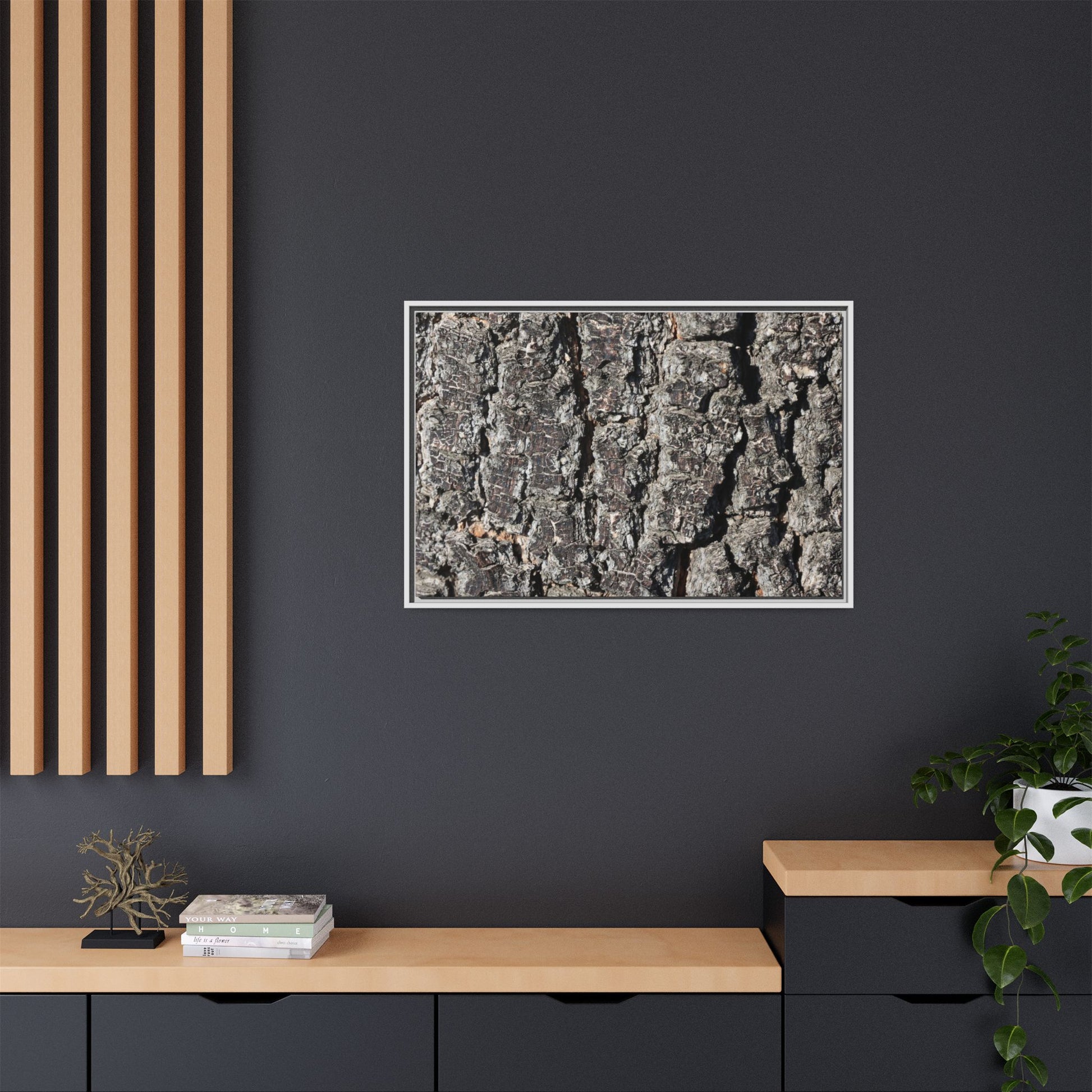 Bark Study in Gray - Unique Stretched Canvas Wall Art - Art By Earth