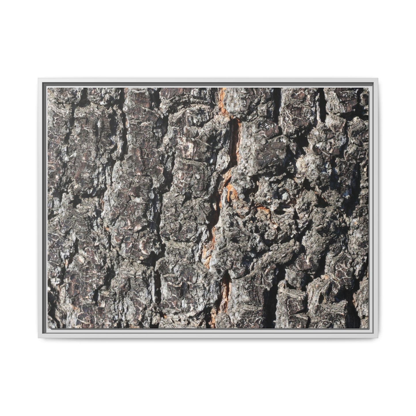 Aged Beauty - Unique Stretched Canvas Wall Art - Art By Earth