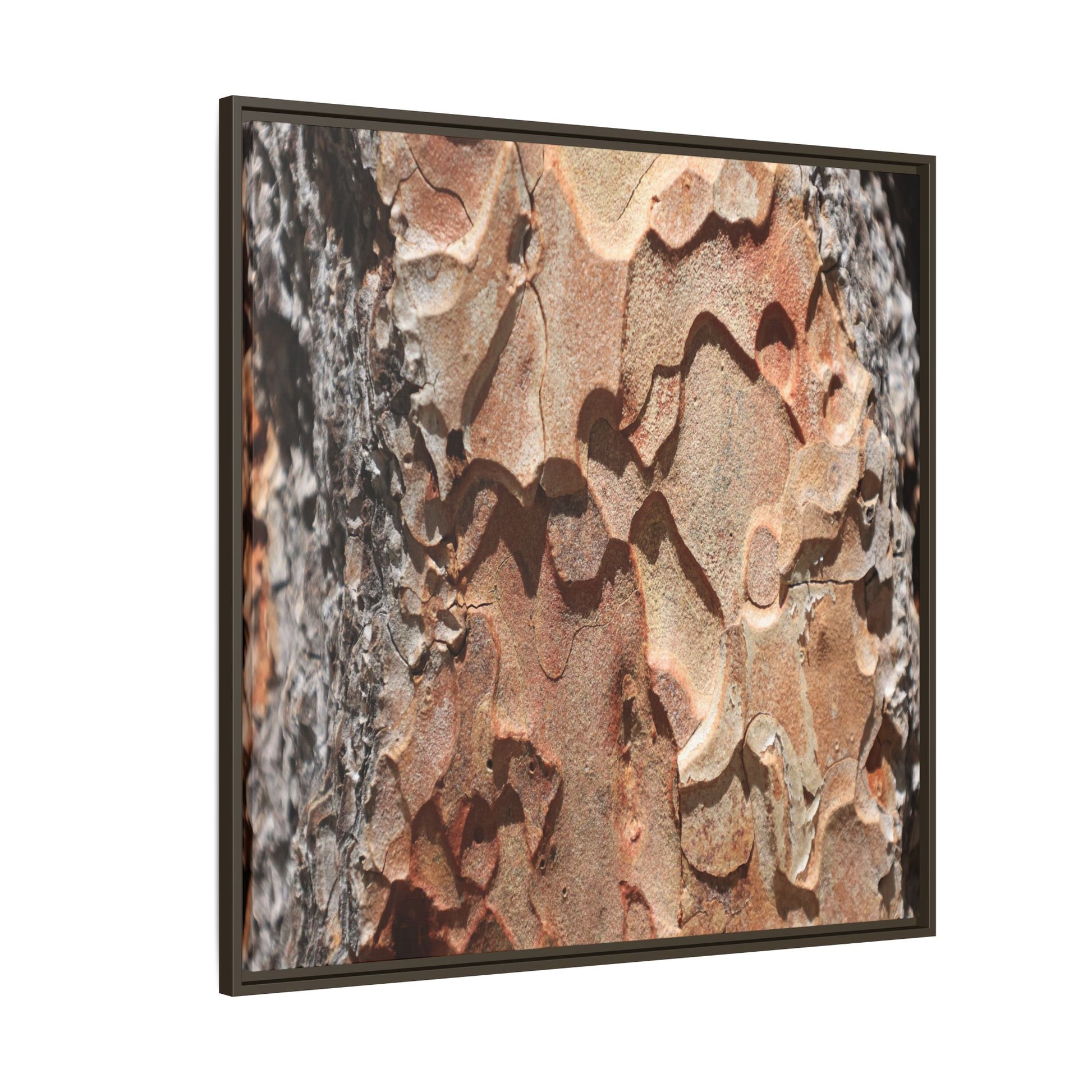 Rust and Stone - Unique Stretched Canvas Wall Art - Art By Earth