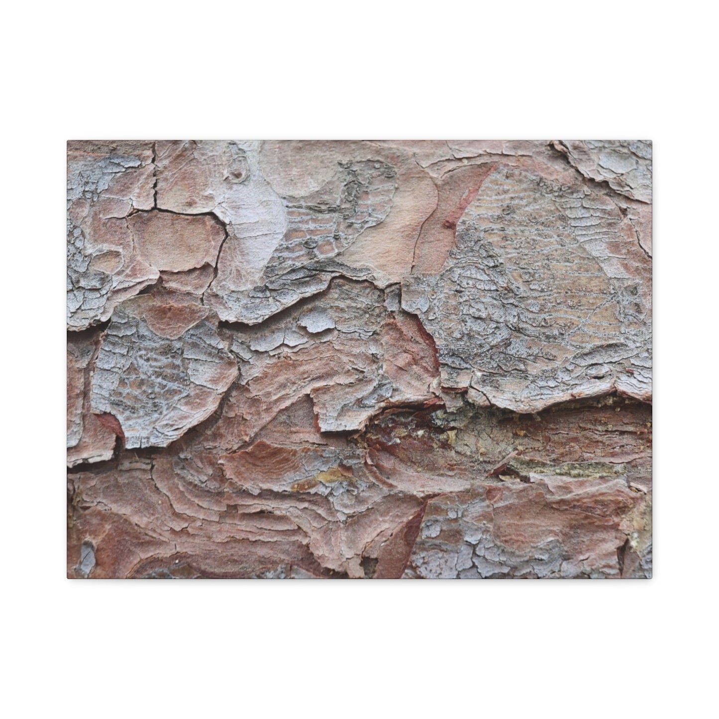 Textural Landscape - Unique Frameless Canvas Wall Art - Art By Earth