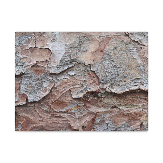Textural Landscape - Unique Frameless Canvas Wall Art - Art By Earth