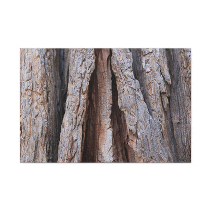 Fractured Skin of Time - Unique Frameless Canvas Wall Art - Art By Earth