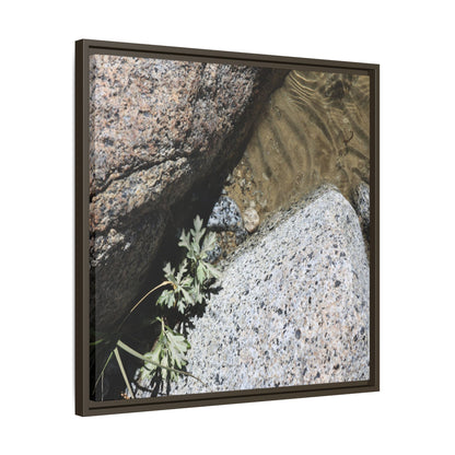 Resilience in Stone - Unique Stretched Canvas Wall Art - Art By Earth