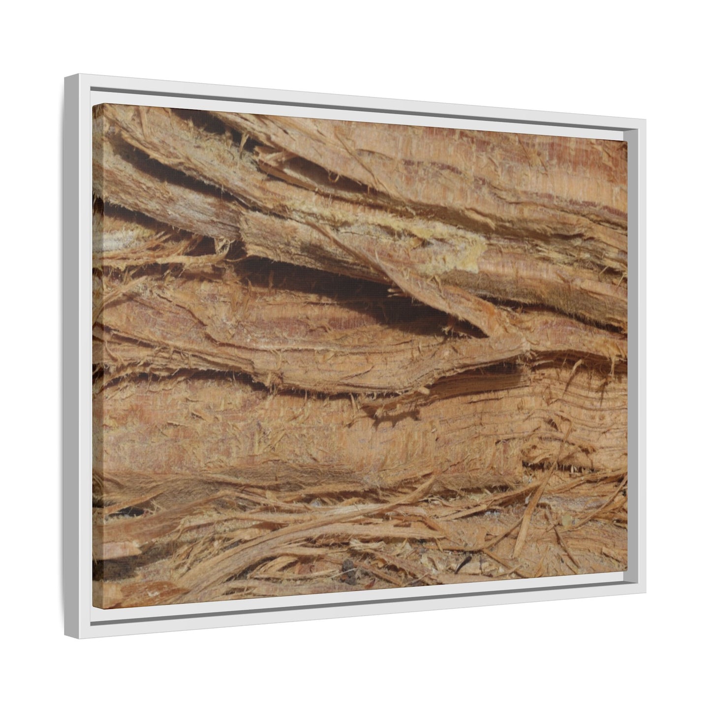Splintered Bark - Unique Stretched Canvas Wall Art - Art By Earth