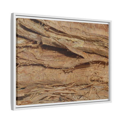 Splintered Bark - Unique Stretched Canvas Wall Art - Art By Earth