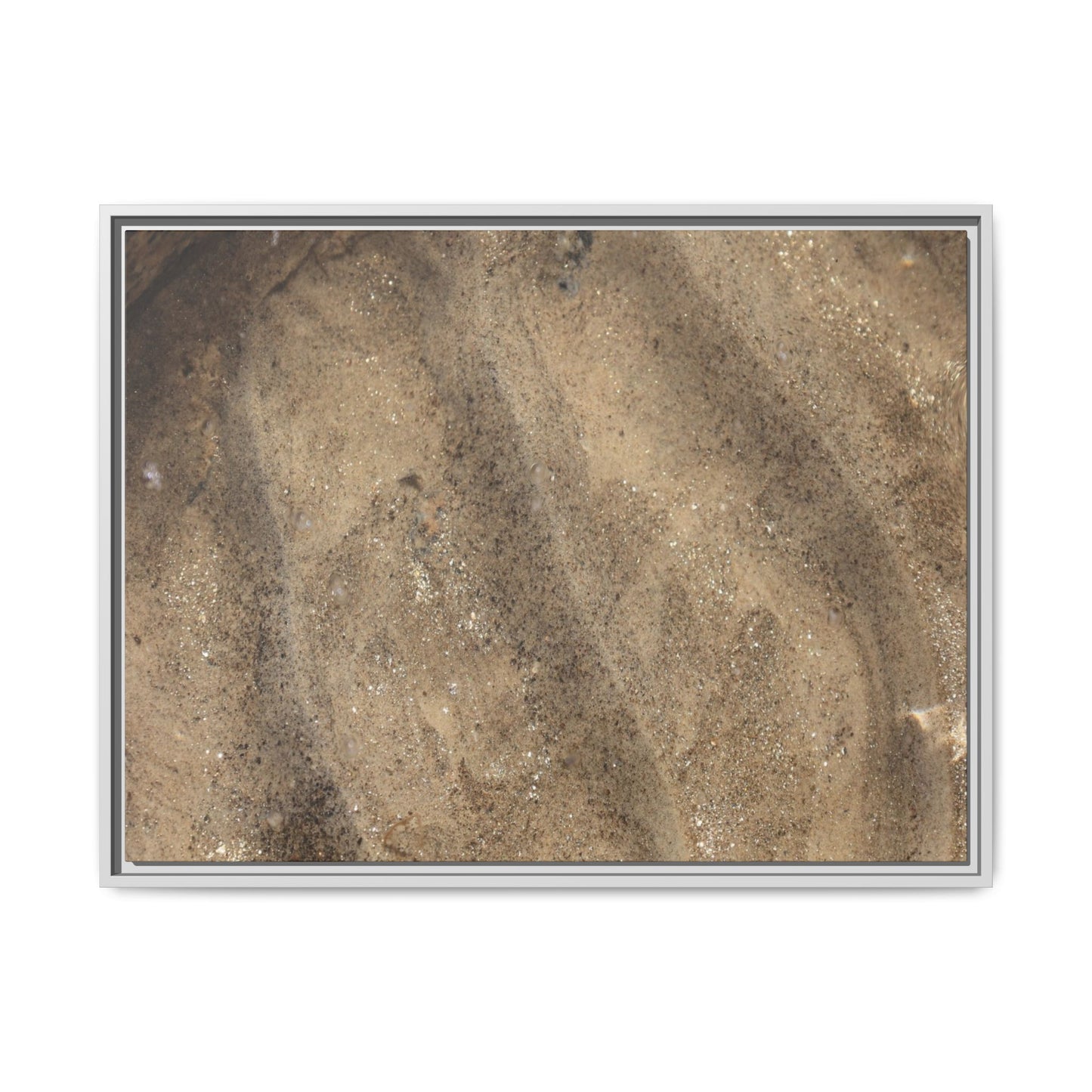 Tidal Pool Secrets - Unique Stretched Canvas Wall Art - Art By Earth