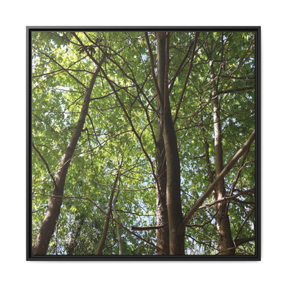 Forest Branches - Unique Stretched Canvas Wall Art