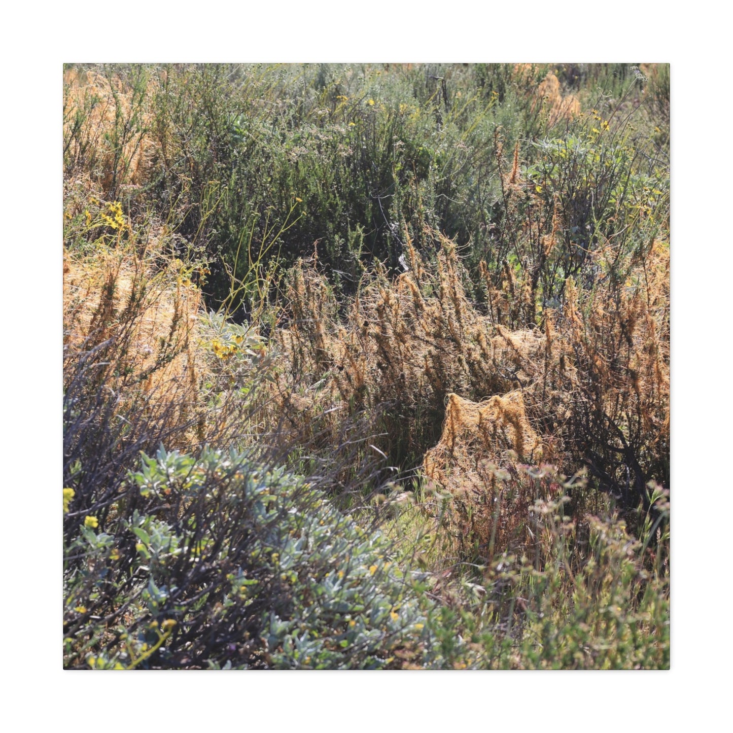 Sagebrush Desert Landscape - Unique Frameless Canvas Wall Art - Art By Earth