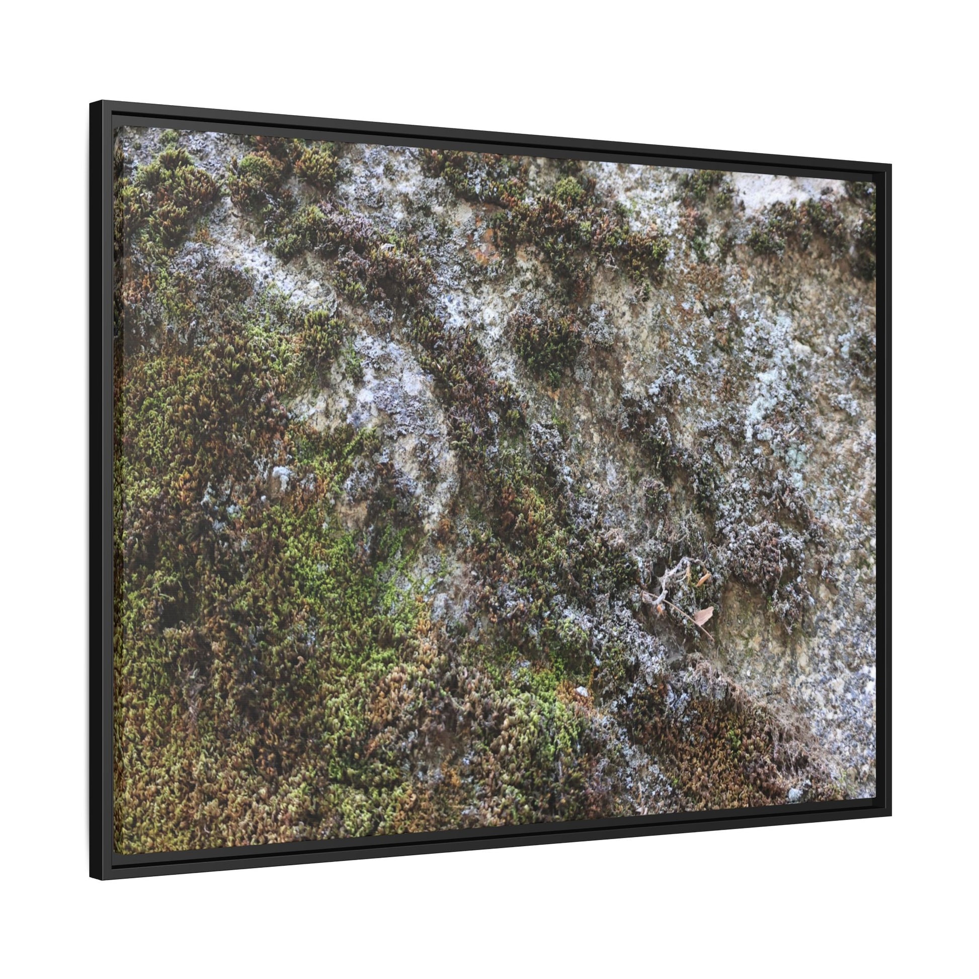 Mossy Whispers - Unique Stretched Canvas Wall Art - Art By Earth