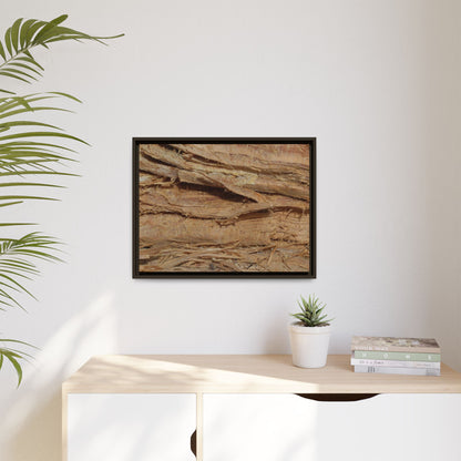 Splintered Bark - Unique Stretched Canvas Wall Art - Art By Earth