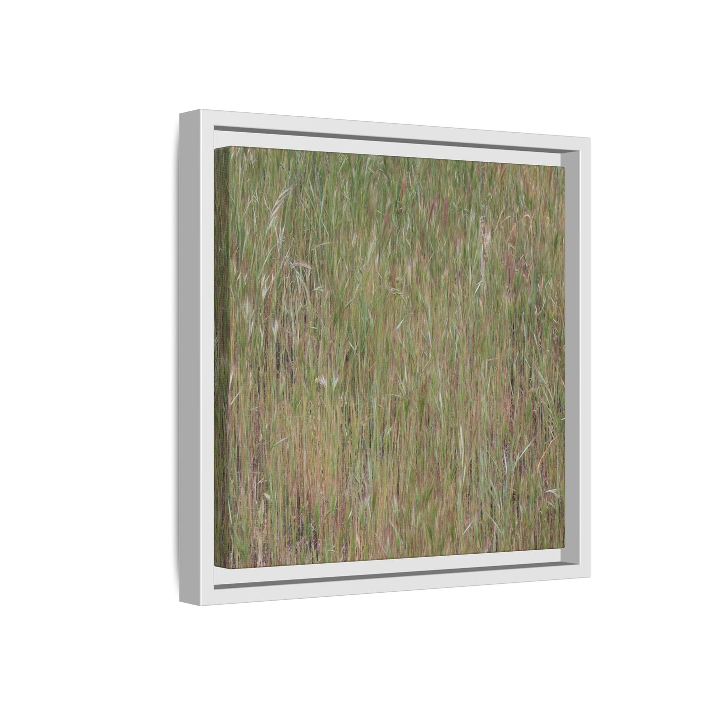 Field of Dreams - Unique Stretched Canvas Wall Art - Art By Earth