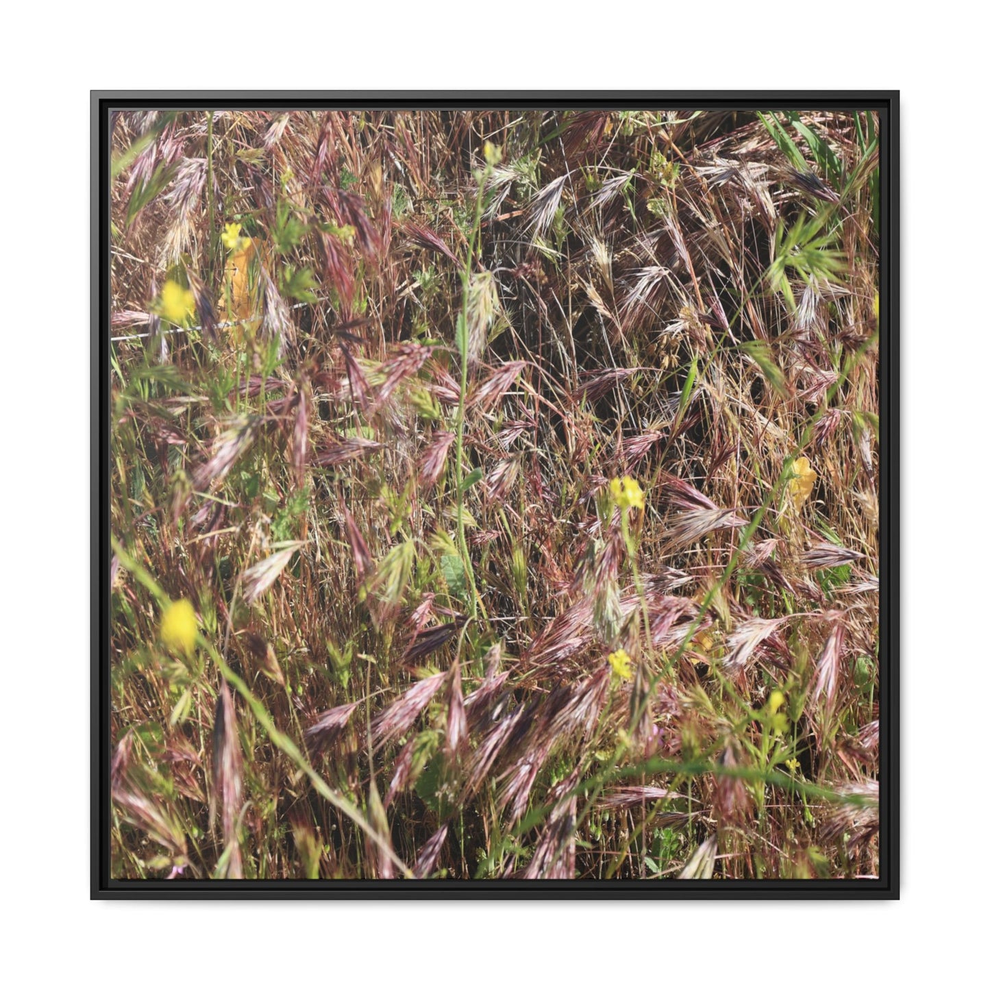 Autumn Meadow - Unique Stretched Canvas Wall Art - Art By Earth