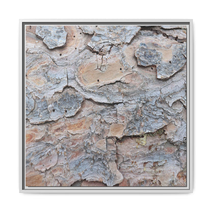 Peeling Memories - Unique Stretched Canvas Wall Art - Art By Earth