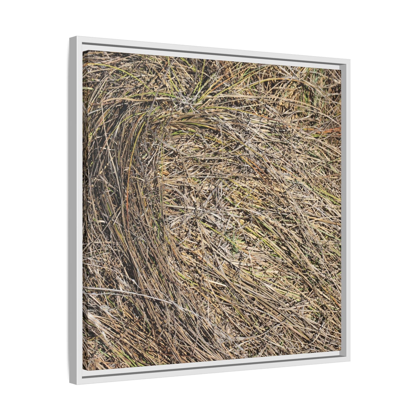 Tangled Grass Symphony - Unique Stretched Canvas Wall Art - Art By Earth