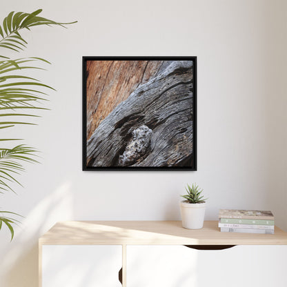 Time's Mark on Timber - Unique Stretched Canvas Wall Art - Art By Earth