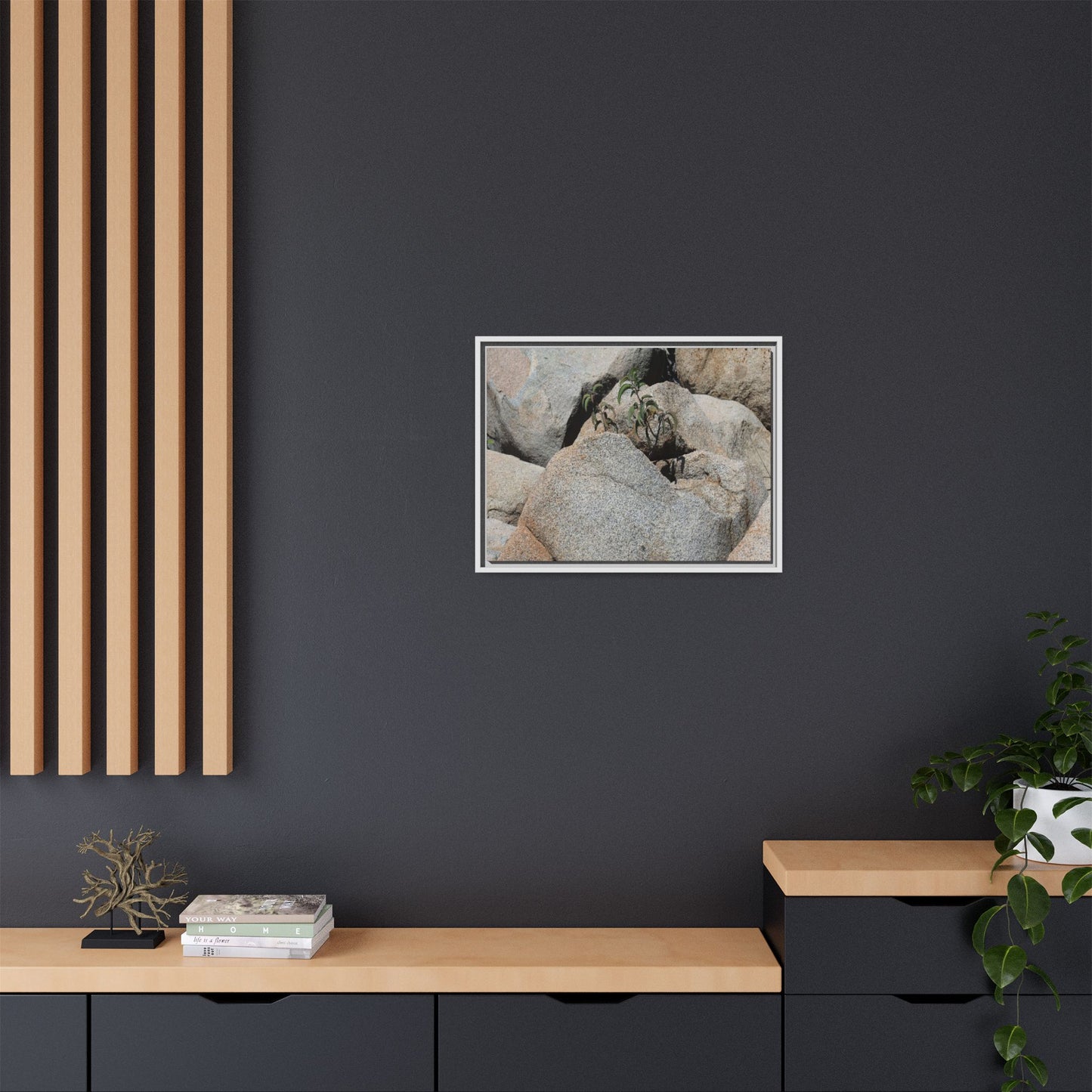 Desert Plant Thriving Among Rocks - Unique Stretched Canvas Wall Art