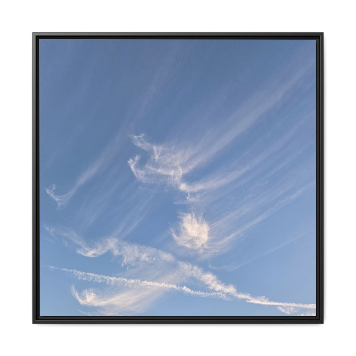 Wispy Dreams - Unique Stretched Canvas Wall Art - Art By Earth