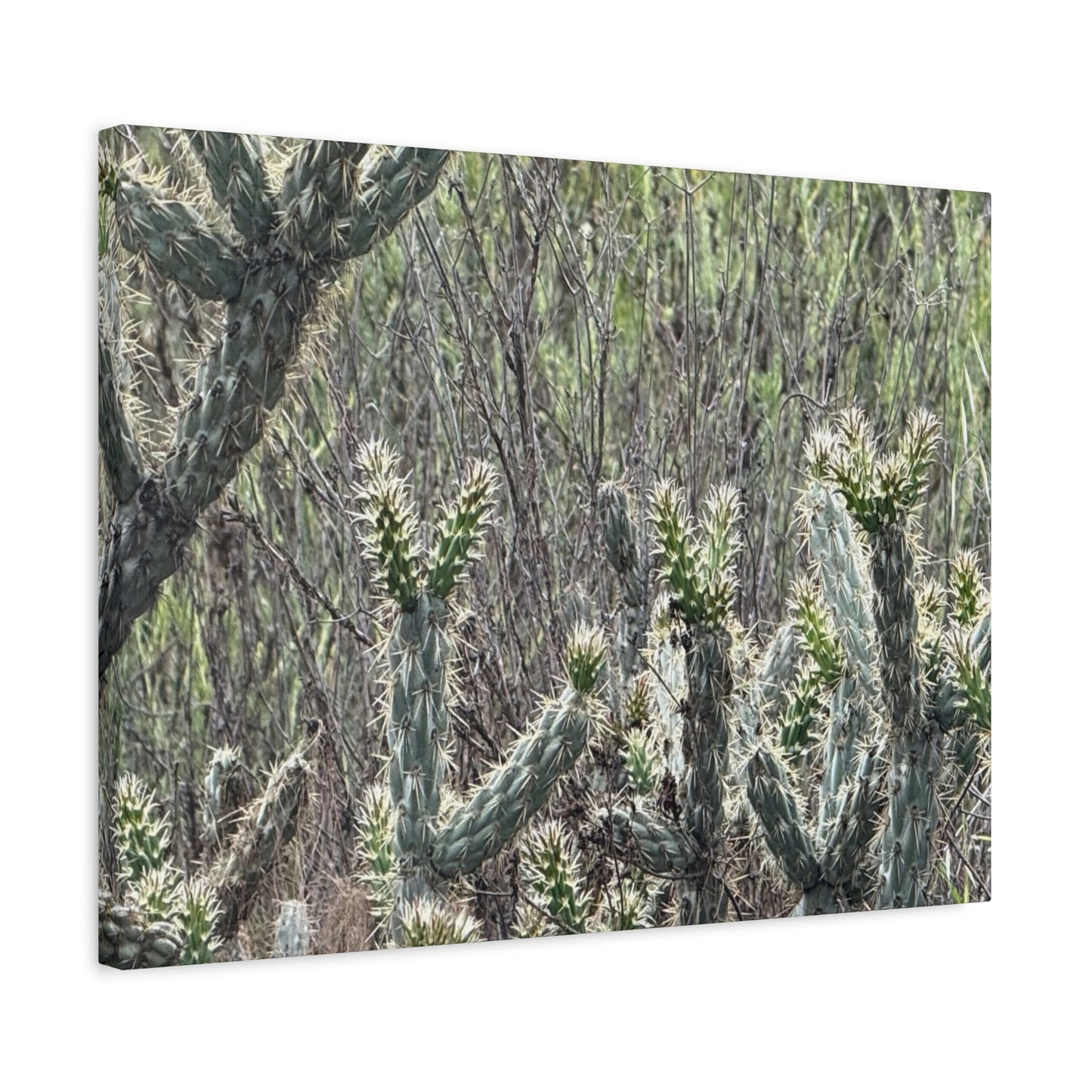 Spiny Sentinels - Unique Frameless Canvas Wall Art - Art By Earth