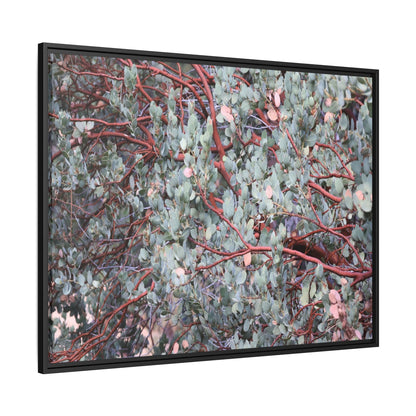 Whispers of Sage - Unique Stretched Canvas Wall Art - Art By Earth