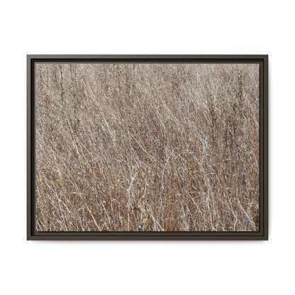 Whispers of Autumn - Unique Stretched Canvas Wall Art - Art By Earth