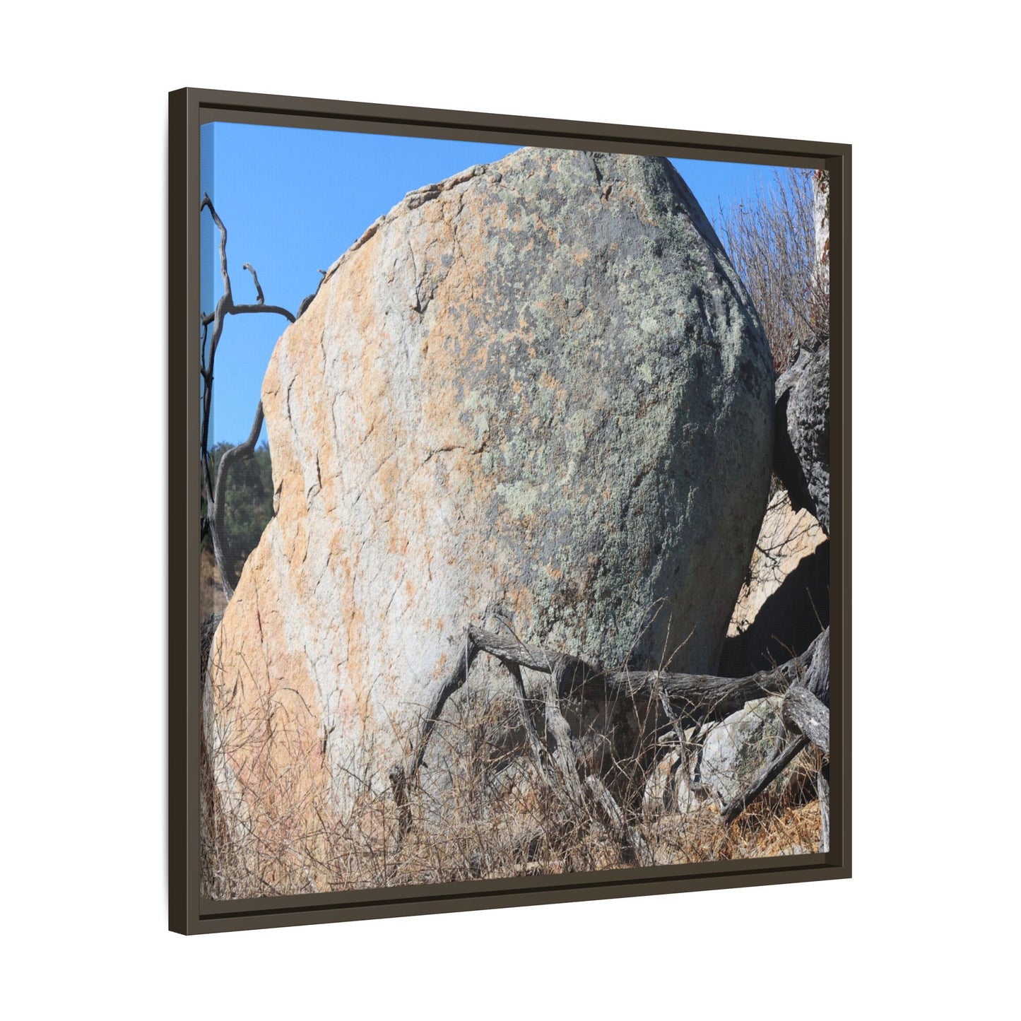 Stony Sentinel - Unique Stretched Canvas Wall Art - Art By Earth