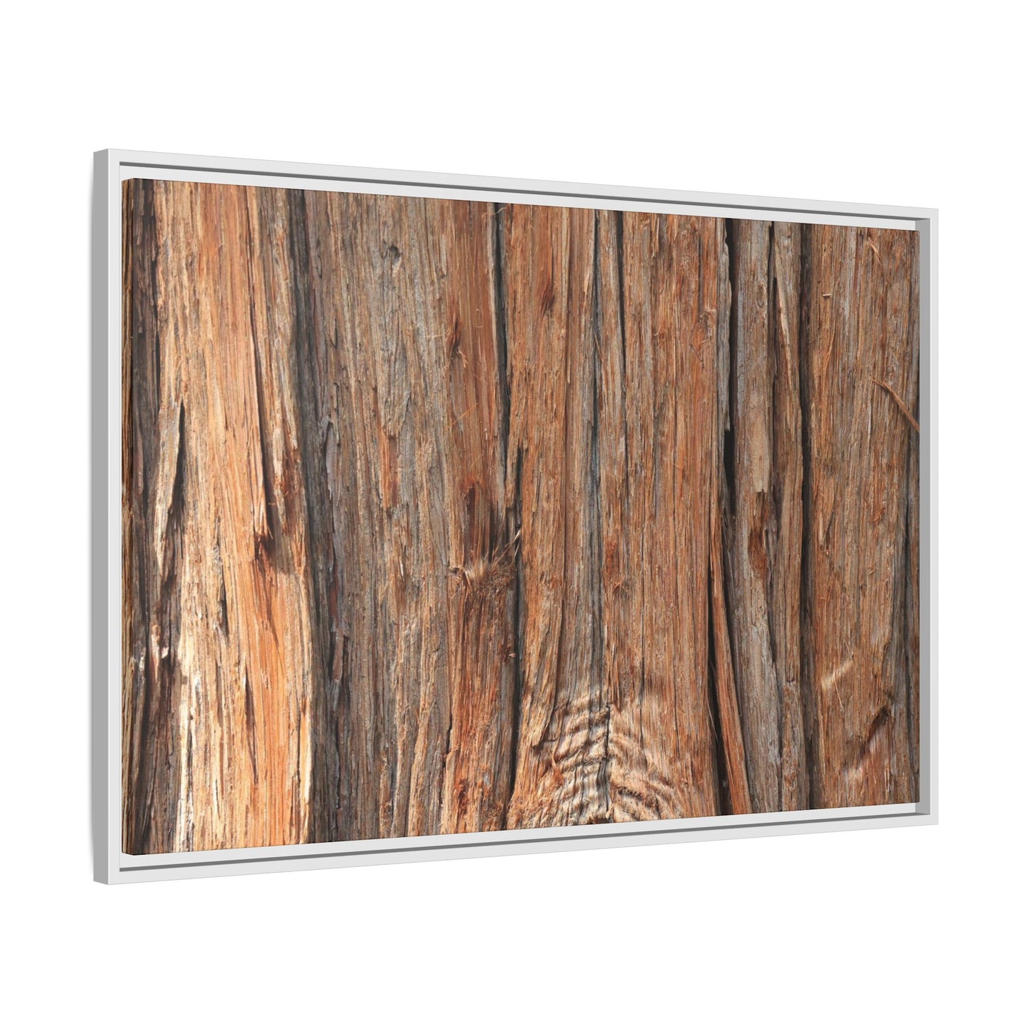 Echoes of Timber - Unique Stretched Canvas Wall Art - Art By Earth
