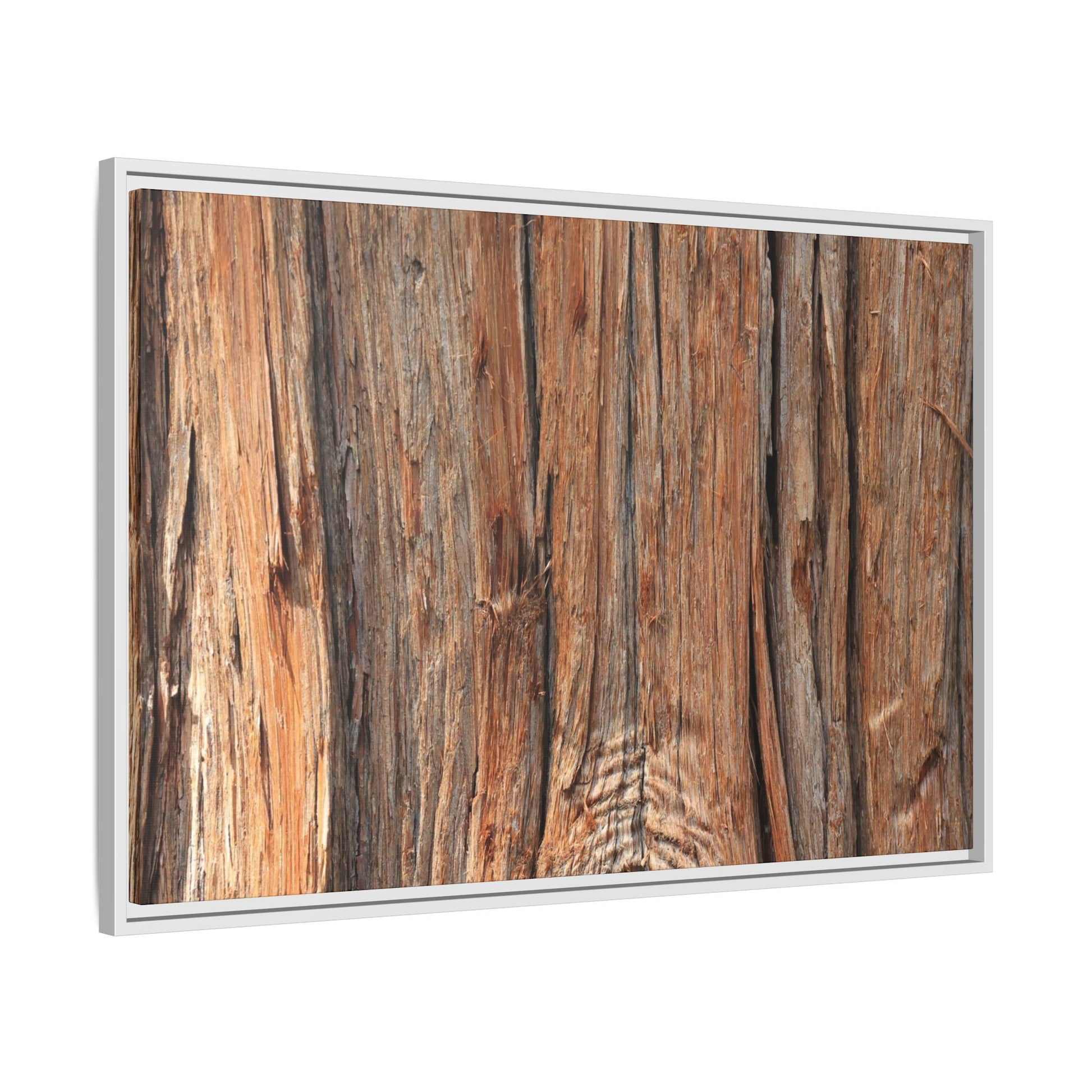 Echoes of Timber - Unique Stretched Canvas Wall Art - Art By Earth