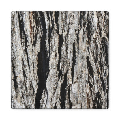 Bark Textures in Monochrome - Unique Frameless Canvas Wall Art - Art By Earth