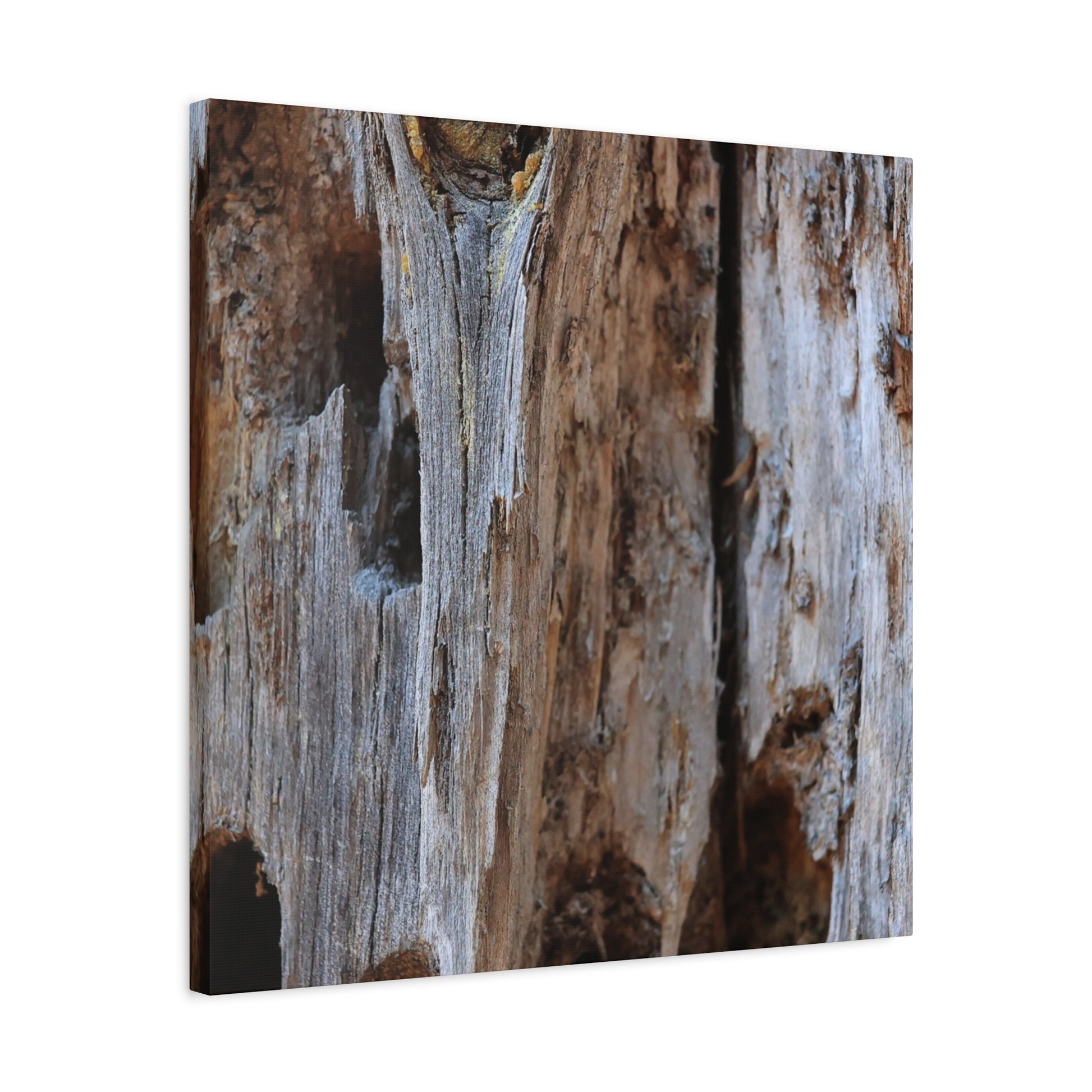 Timber Tapestry - Unique Frameless Canvas Wall Art - Art By Earth
