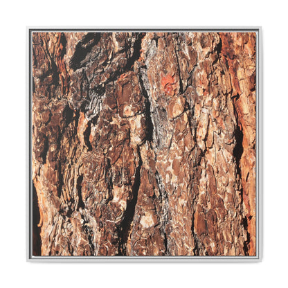 Nature's Rugged Canvas - Unique Stretched Canvas Wall Art