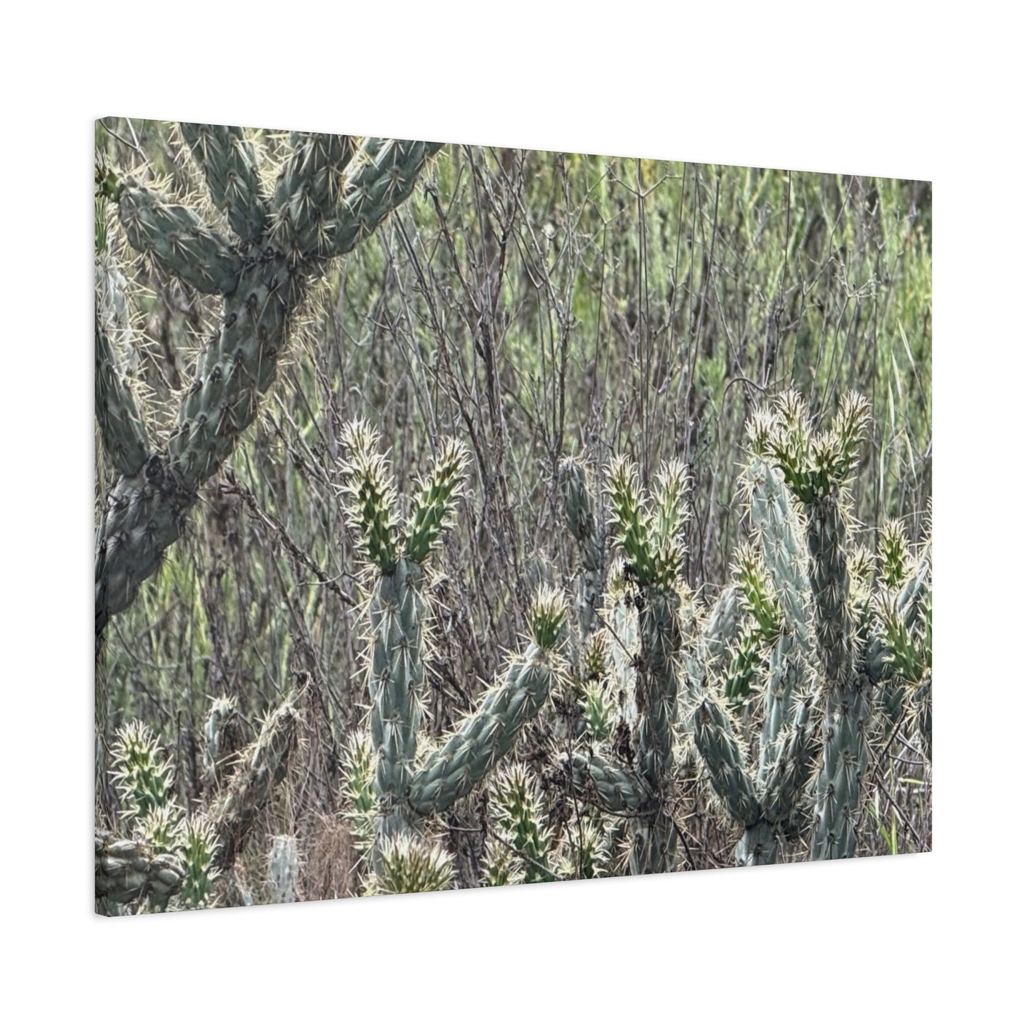 Spiny Sentinels - Unique Frameless Canvas Wall Art - Art By Earth