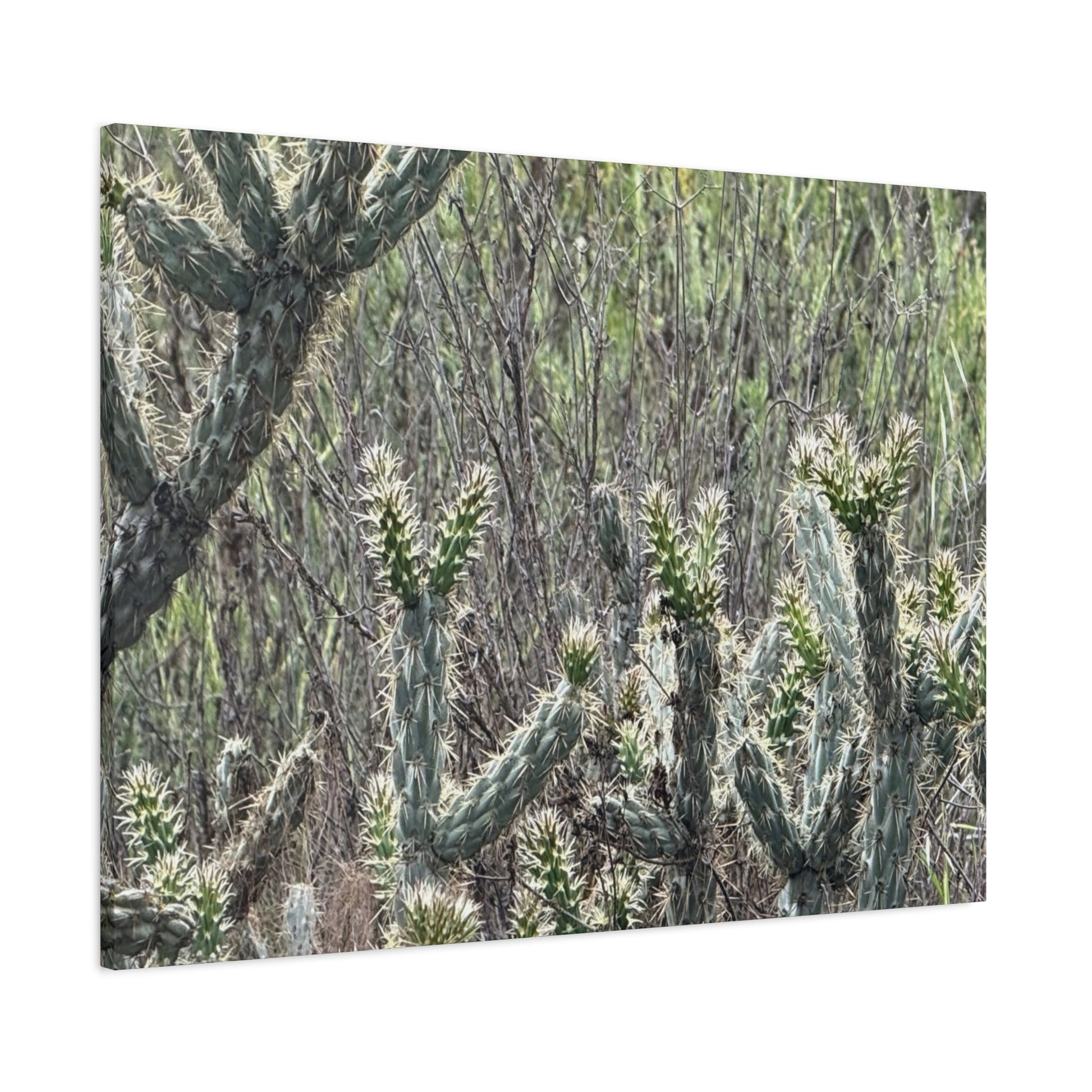 Spiny Sentinels - Unique Frameless Canvas Wall Art - Art By Earth