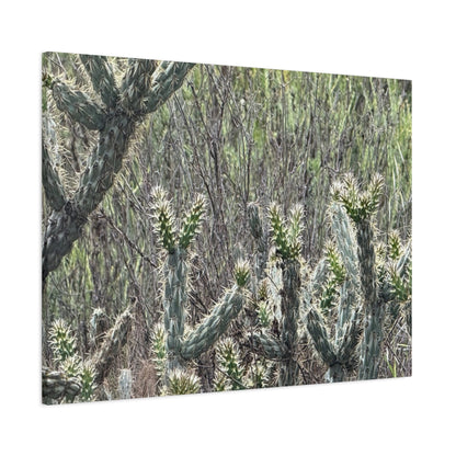 Spiny Sentinels - Unique Frameless Canvas Wall Art - Art By Earth