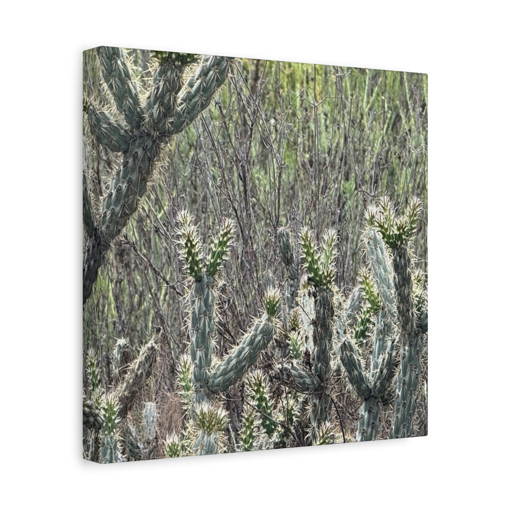 Spiny Sentinels - Unique Frameless Canvas Wall Art - Art By Earth