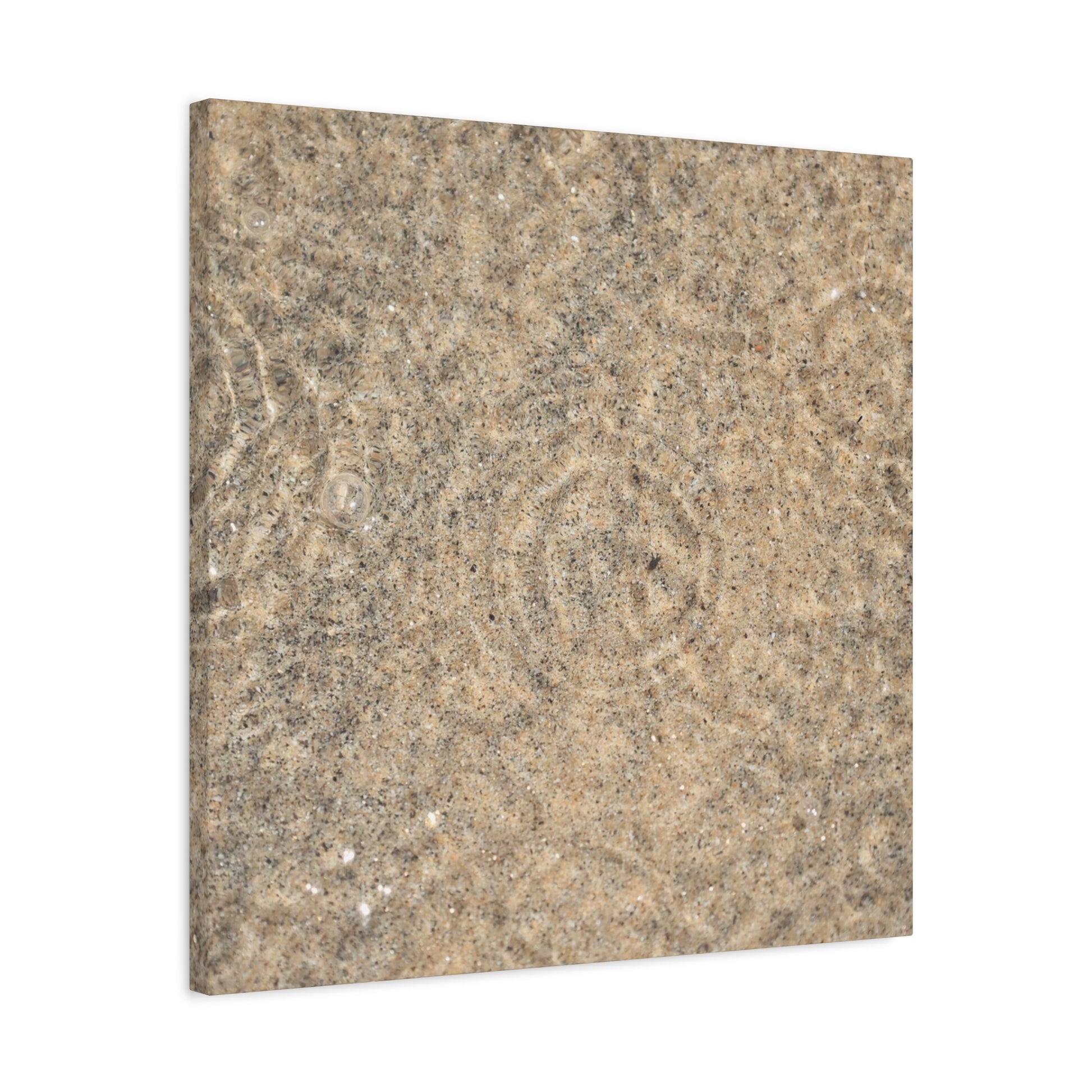 Desert Memory - Unique Frameless Canvas Wall Art - Art By Earth