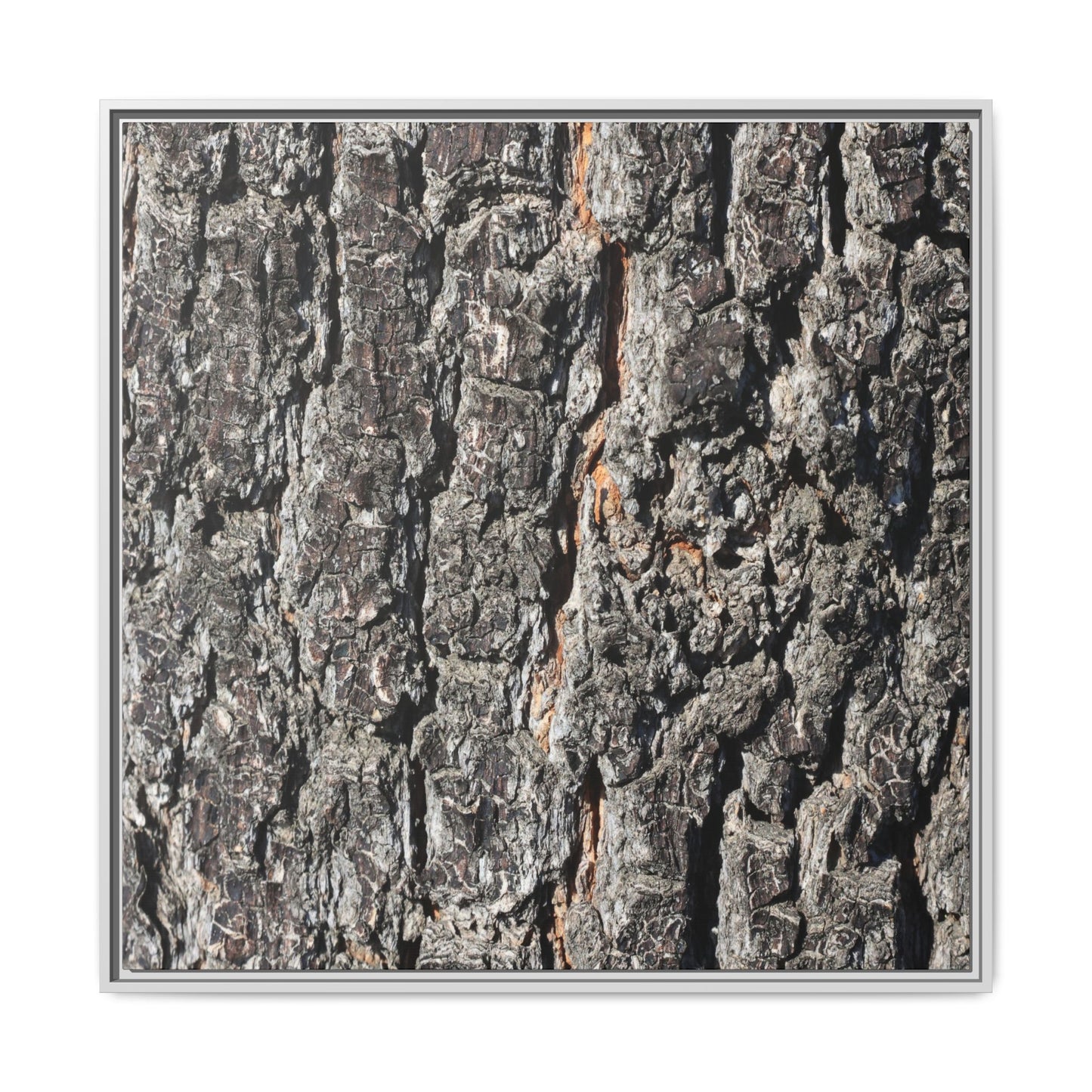 Aged Beauty - Unique Stretched Canvas Wall Art - Art By Earth